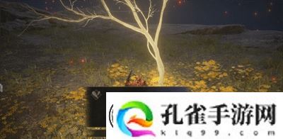 艾尔登法环肯尼斯海德支线攻略-副本节奏掌控三大技巧