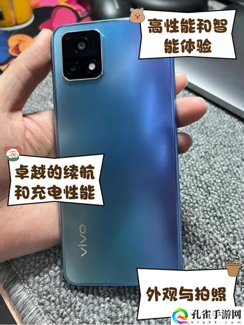 一级成色好的y31s6标准版