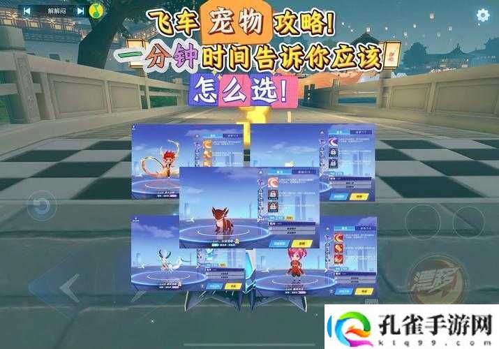 超全攻略！梦想新大陆宠物装备速刷技巧