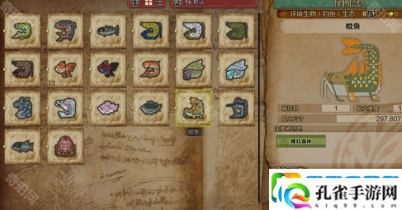 怪物猎人荒野大鱼在哪钓