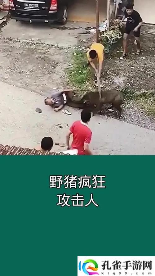 人野兽马狗猪最新动态