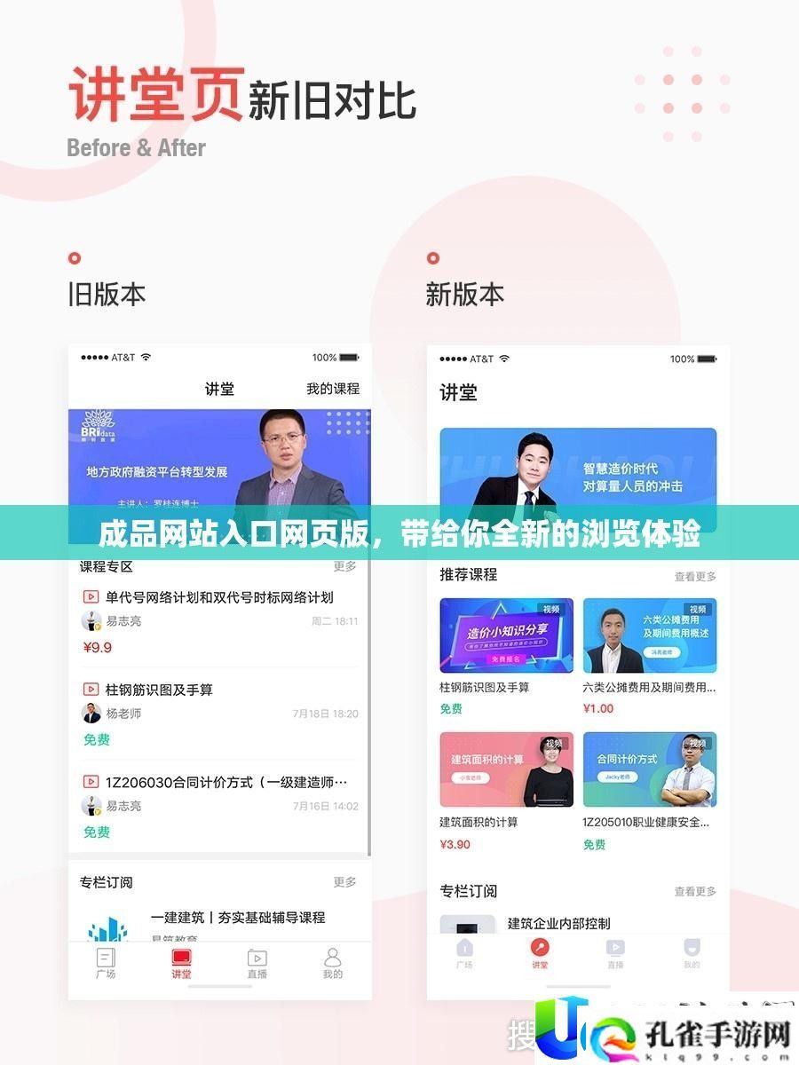成品网站入口网页版