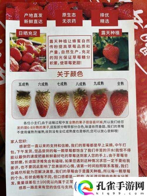 旧版本草莓全面解析：功能、使用体验与用户反馈深度探讨