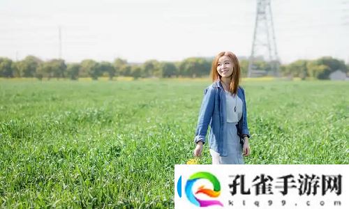 三叶草高清完整版在线观看