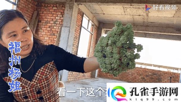 大肉大捧一进一出好爽MBA上线