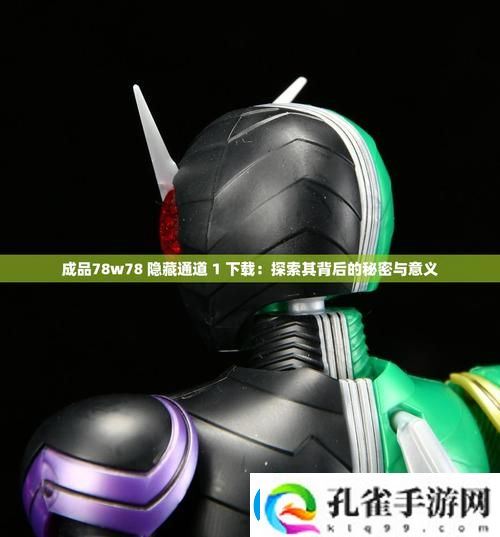 成品78W78隐藏通道1