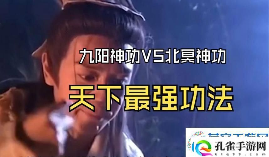 九阴真经VS九阳神功