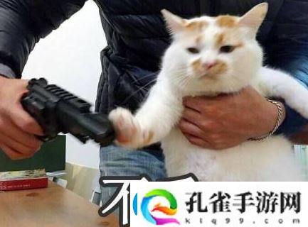 ptsd是什么意思梗