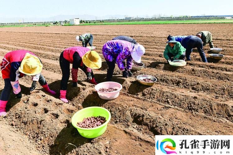耕种姨妈肥沃的土地