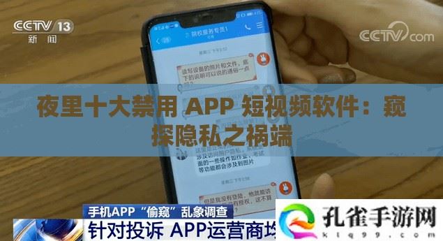 夜间十大禁用短视频APP