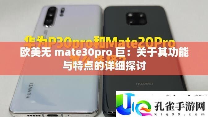 欧美mate30pro巨无霸功能详解与特点对比