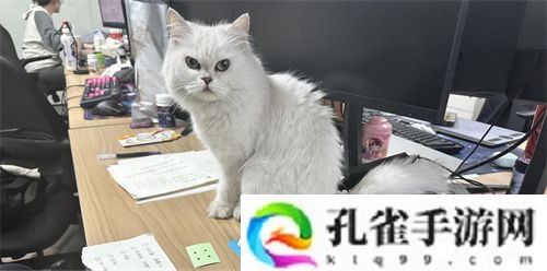 专访喵吉托工作室：在 “传统养宠束缚” 与 “AI 社交新潮” 的碰撞中，以创新解锁宠物社交游戏新魅力