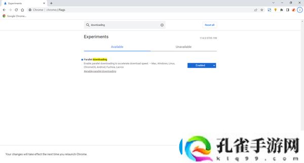 谷歌浏览器提高文件下载速度具体操作教程