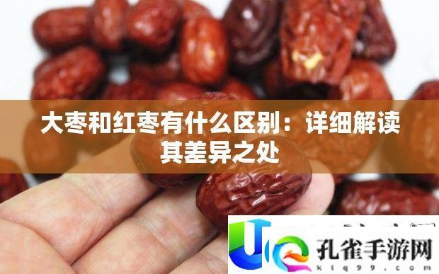 大枣与红枣的区别