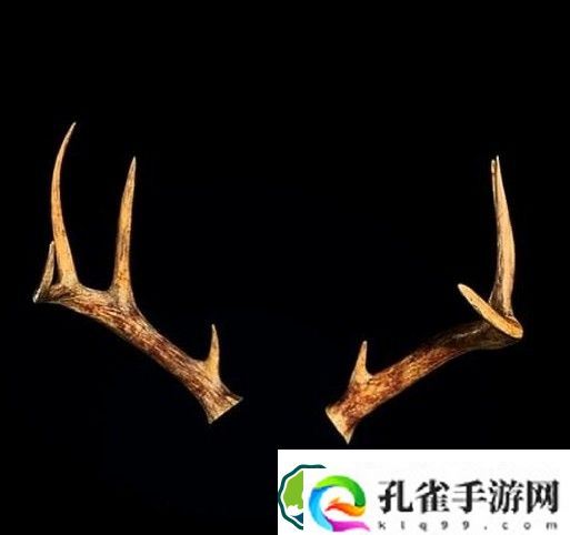 生化危机4重置版专家s+奖励是什么 专家s+难度奖励介绍