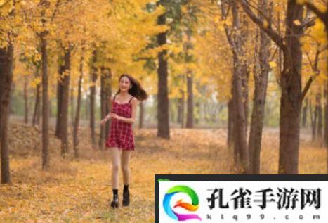 坤塞进句号：这部作品确实让人眼前一亮！