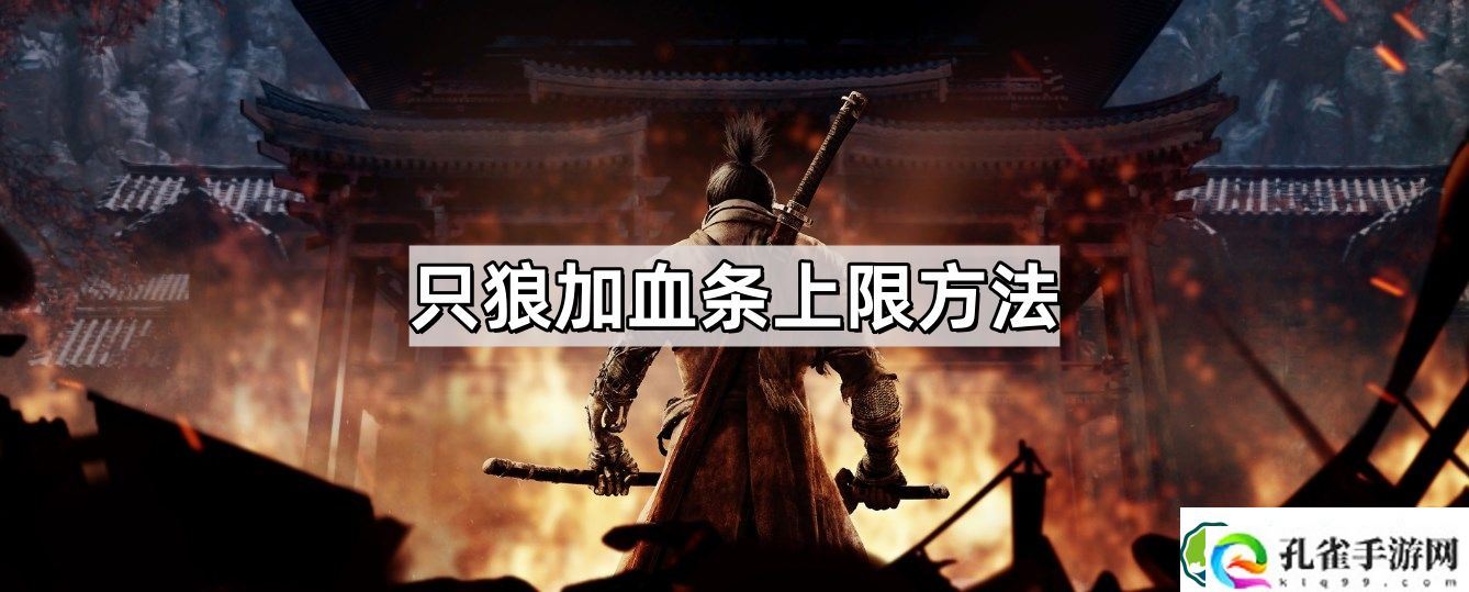 只狼如何加血条 加血条上限方法