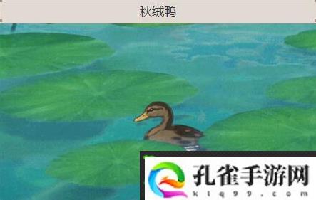 原神秋绒鸭在哪-原神秋绒鸭位置