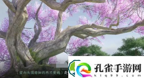 逆水寒手游情之万端奇遇怎么做