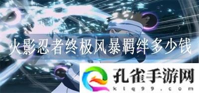 火影忍者终极风暴羁绊多少钱