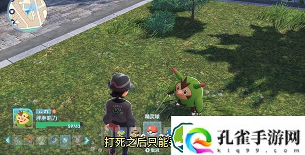 宝可梦传说ZA伊布在哪-宝可梦传说ZA伊布位置分享