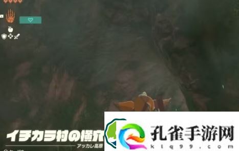 塞尔达传说王国之泪林克的家怎么购买-林克的家购买方法攻略