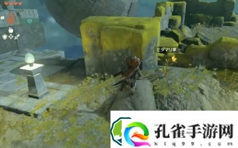 塞尔达传说王国之泪林克的家怎么购买-林克的家购买方法攻略