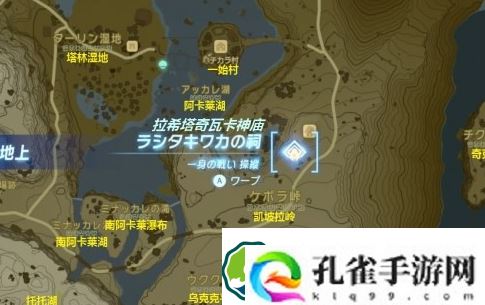 塞尔达传说王国之泪林克的家怎么购买-林克的家购买方法攻略