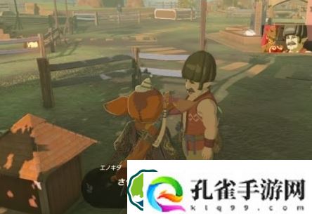 塞尔达传说王国之泪林克的家怎么购买-林克的家购买方法攻略