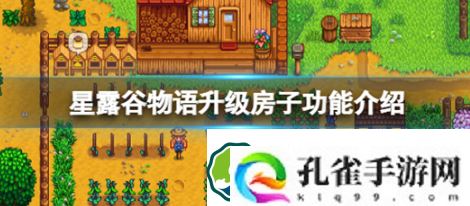 星露谷物语升级房子有什么用-星露谷物语升级房子作用攻略