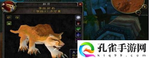 魔兽世界60猎人必带3只宝宝是什么-魔兽世界60猎人必带3只宝宝分享