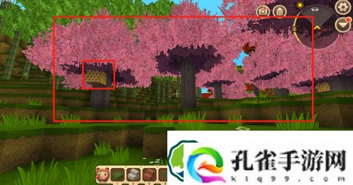 迷你世界桃花树长什么样子的-迷你世界桃花树介绍大全