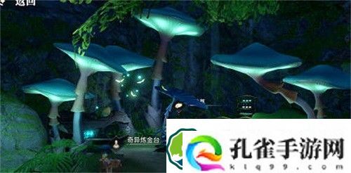 天谕手游伞村景点在哪-天谕手游伞村景点位置攻略