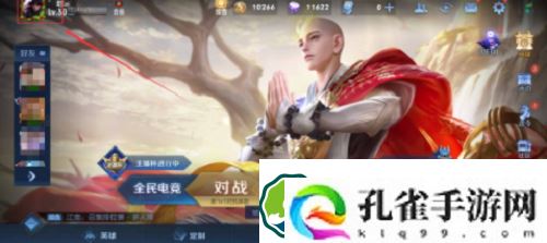 王者荣耀生日在哪设置-王者荣耀生日设置方法