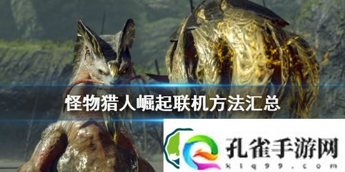 怪物猎人崛起怎么联机-怪物猎人崛起联机方法汇总