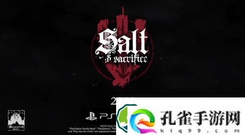 盐与献祭游戏的剧情是什么-盐与献祭游戏的剧情解析