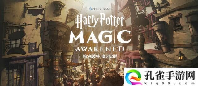 哈利波特魔法觉醒统统加护强度怎么样